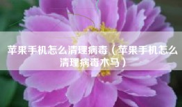 苹果手机怎么清理病毒（苹果手机怎么清理病毒木马）