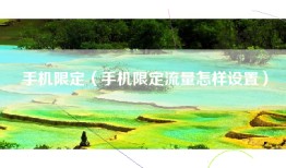 手机限定（手机限定流量怎样设置）
