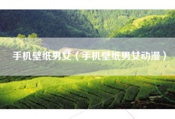 手机壁纸男女（手机壁纸男女动漫）