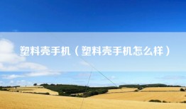 塑料壳手机（塑料壳手机怎么样）