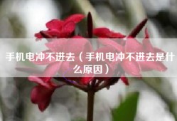 手机电冲不进去（手机电冲不进去是什么原因）