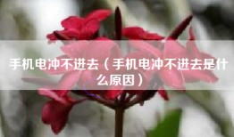 手机电冲不进去（手机电冲不进去是什么原因）
