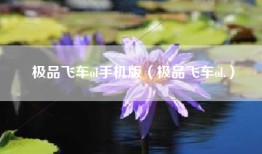 极品飞车ol手机版（极品飞车ol.）