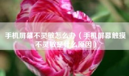 手机屏幕不灵敏怎么办（手机屏幕触摸不灵敏是什么原因）