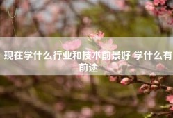 现在学什么行业和技术前景好 学什么有前途