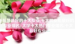 前景最好的十大专业(十大就业前景好的专业排名) 大学十大热门专业排名(十大最好专业)