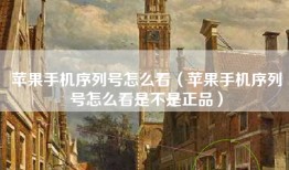苹果手机序列号怎么看（苹果手机序列号怎么看是不是正品）