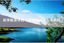 买手机买手机（买手机买什么手机好）