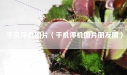 手机停机图片（手机停机图片朋友圈）