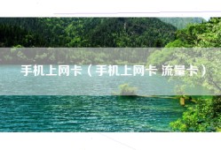 手机上网卡（手机上网卡 流量卡）