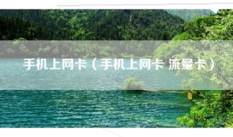 手机上网卡（手机上网卡 流量卡）