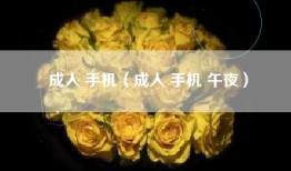 成人 手机（成人 手机 午夜）