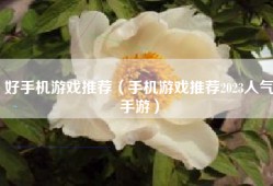 好手机游戏推荐（手机游戏推荐2023人气手游）