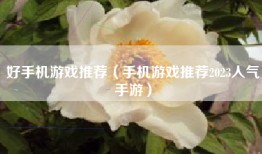 好手机游戏推荐（手机游戏推荐2023人气手游）