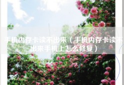 手机内存卡读不出来（手机内存卡读不出来手机上怎么修复）