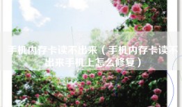 手机内存卡读不出来（手机内存卡读不出来手机上怎么修复）