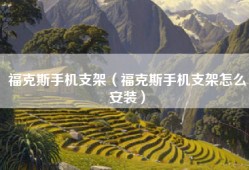 福克斯手机支架（福克斯手机支架怎么安装）