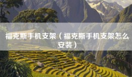 福克斯手机支架（福克斯手机支架怎么安装）