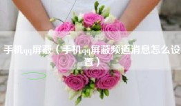 手机qq屏蔽（手机qq屏蔽频道消息怎么设置）