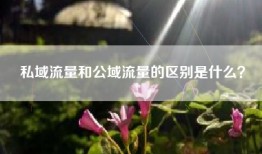 私域流量和公域流量的区别是什么？