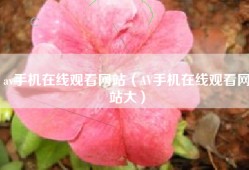 av手机在线观看网站（AV手机在线观看网站大）