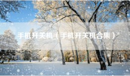 手机开关机（手机开关机合集）