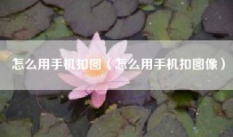 怎么用手机扣图（怎么用手机扣图像）