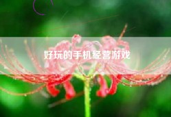 好玩的手机经营游戏