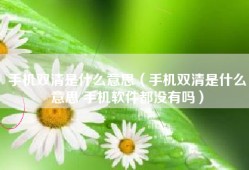 手机双清是什么意思（手机双清是什么意思 手机软件都没有吗）