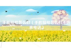 手机短号怎么打（手机短号怎么打不进来电话）