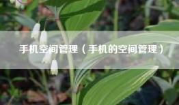 手机空间管理（手机的空间管理）