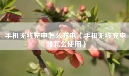 手机无线充电怎么充电（手机无线充电器怎么使用）