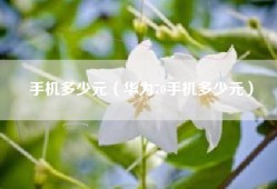 手机多少元（华为70手机多少元）