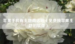 苹果手机有主题商店吗（免费换苹果主题的软件）