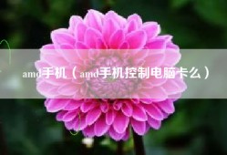amd手机（amd手机控制电脑卡么）