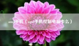amd手机（amd手机控制电脑卡么）