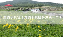 真皮手机包（真皮手机包多少钱一个）