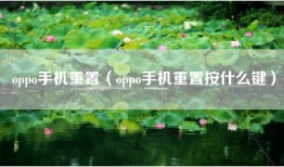 oppo手机重置（oppo手机重置按什么键）