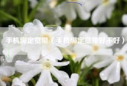 手机绑定宽带（手机绑定宽带好不好）