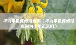 华为手机保修期查询（华为手机保修期查询为半年正常吗）