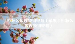 手机怎么传视频到电脑（苹果手机怎么传视频到电脑）
