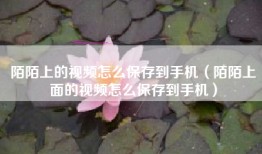 陌陌上的视频怎么保存到手机（陌陌上面的视频怎么保存到手机）