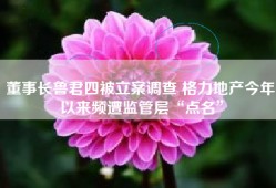 董事长鲁君四被立案调查 格力地产今年以来频遭监管层“点名”