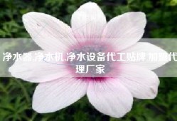 净水器,净水机,净水设备代工贴牌,加盟代理厂家