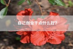 自己创业干点什么好？