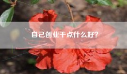 自己创业干点什么好？