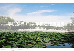 oppo手机怎样（oppo手机怎样定位另一个oppo手机）