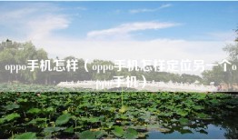 oppo手机怎样（oppo手机怎样定位另一个oppo手机）