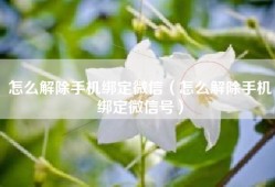 怎么解除手机绑定微信（怎么解除手机绑定微信号）