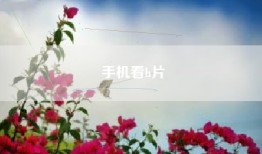手机看h片